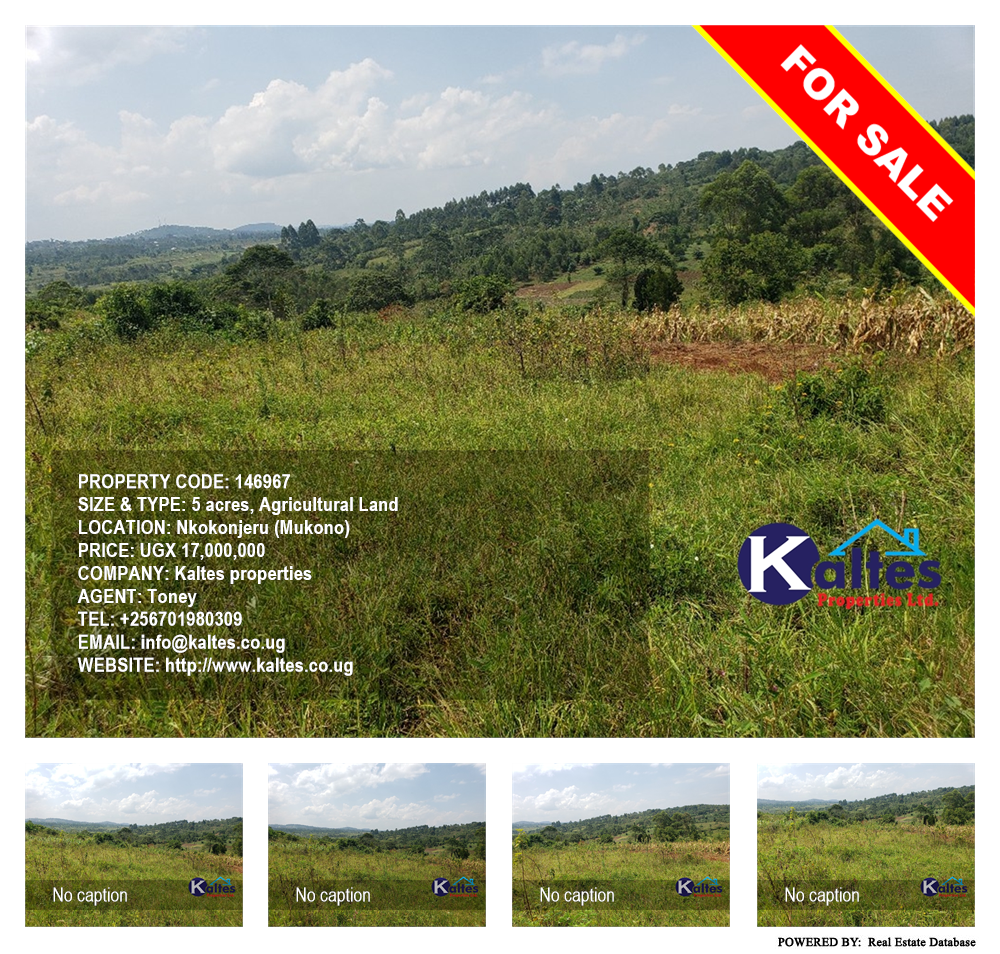 Agricultural Land  for sale in Nkokonjeru Mukono Uganda, code: 146967