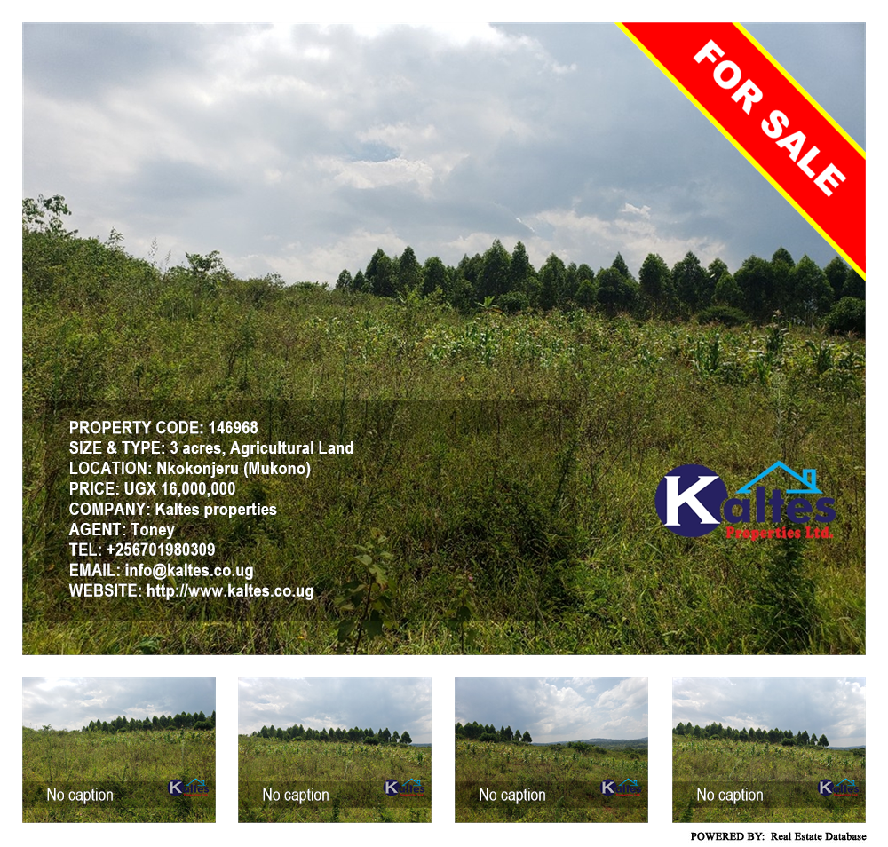 Agricultural Land  for sale in Nkokonjeru Mukono Uganda, code: 146968