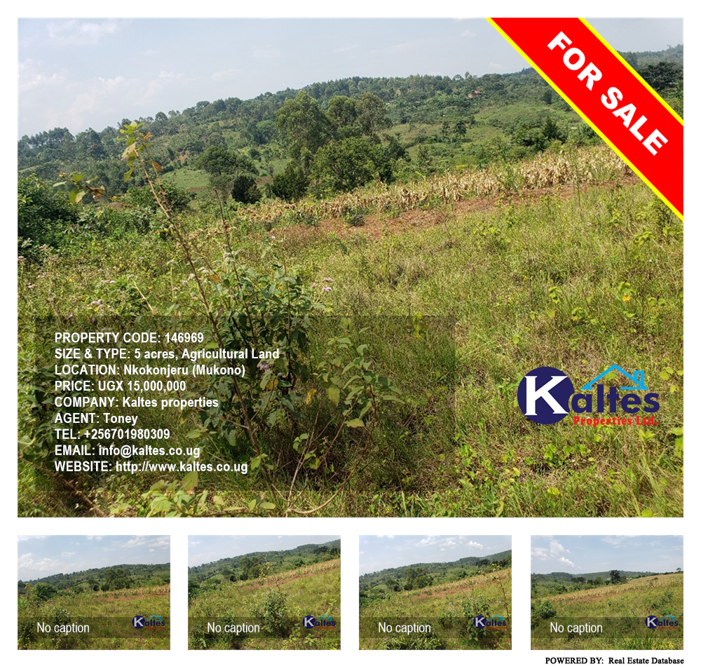 Agricultural Land  for sale in Nkokonjeru Mukono Uganda, code: 146969