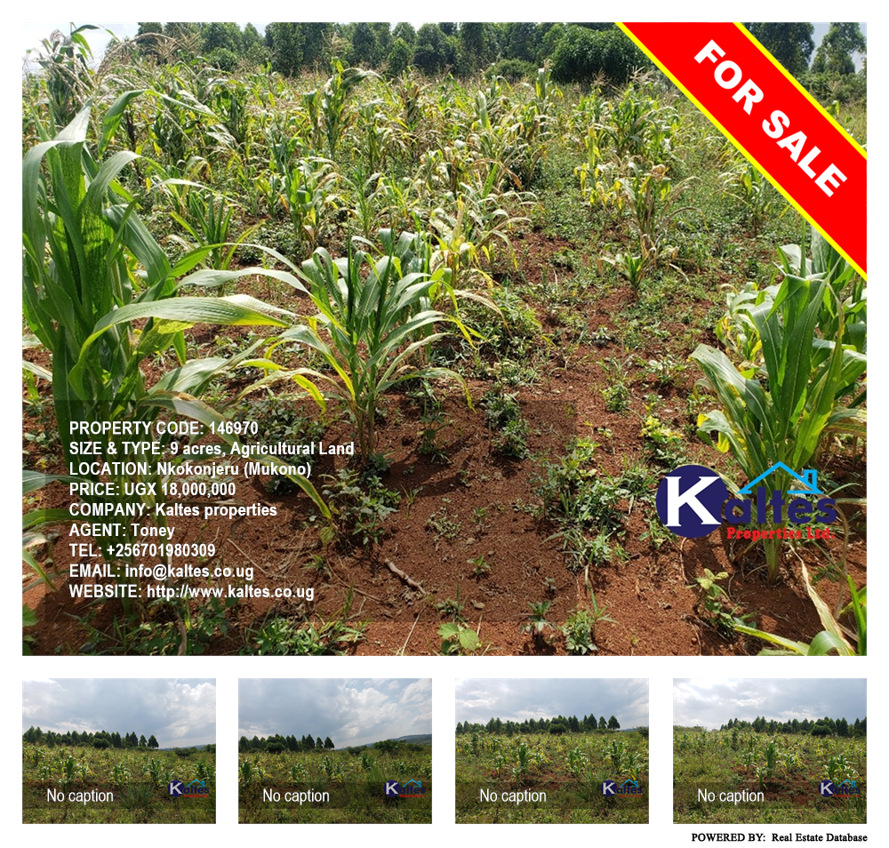 Agricultural Land  for sale in Nkokonjeru Mukono Uganda, code: 146970