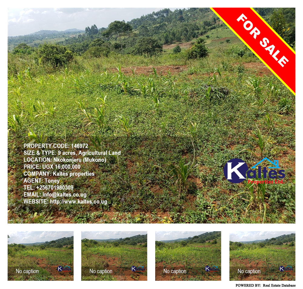 Agricultural Land  for sale in Nkokonjeru Mukono Uganda, code: 146972