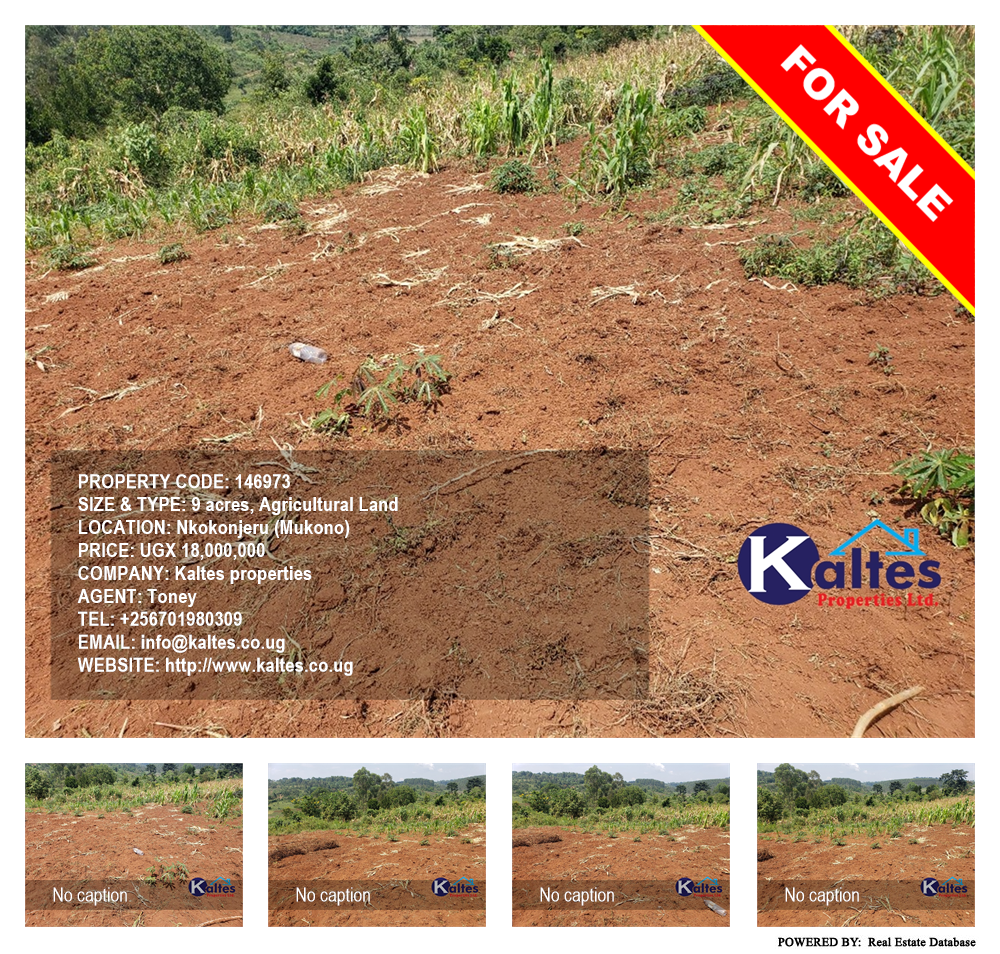 Agricultural Land  for sale in Nkokonjeru Mukono Uganda, code: 146973