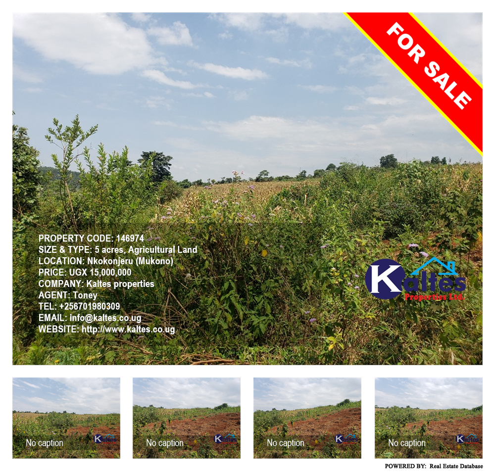 Agricultural Land  for sale in Nkokonjeru Mukono Uganda, code: 146974