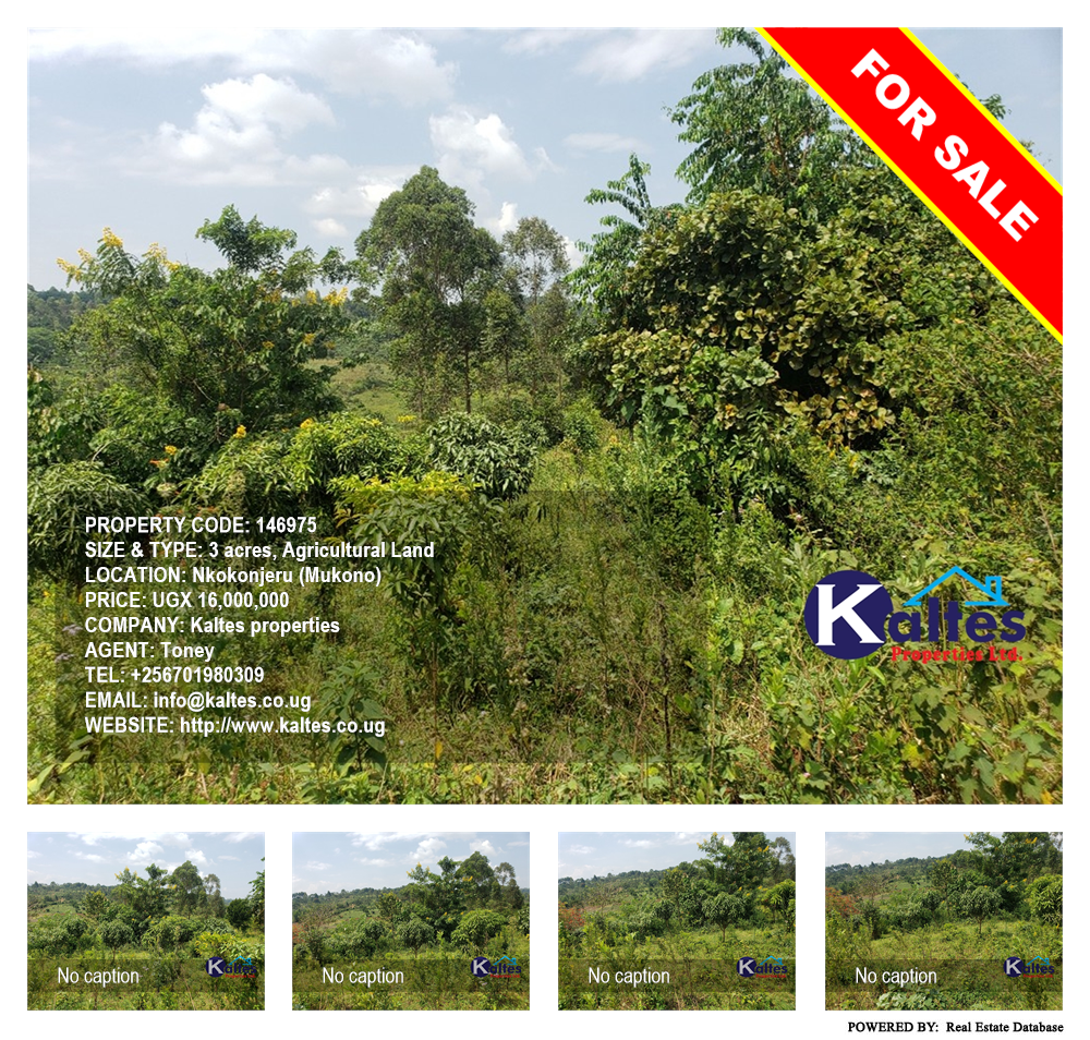Agricultural Land  for sale in Nkokonjeru Mukono Uganda, code: 146975