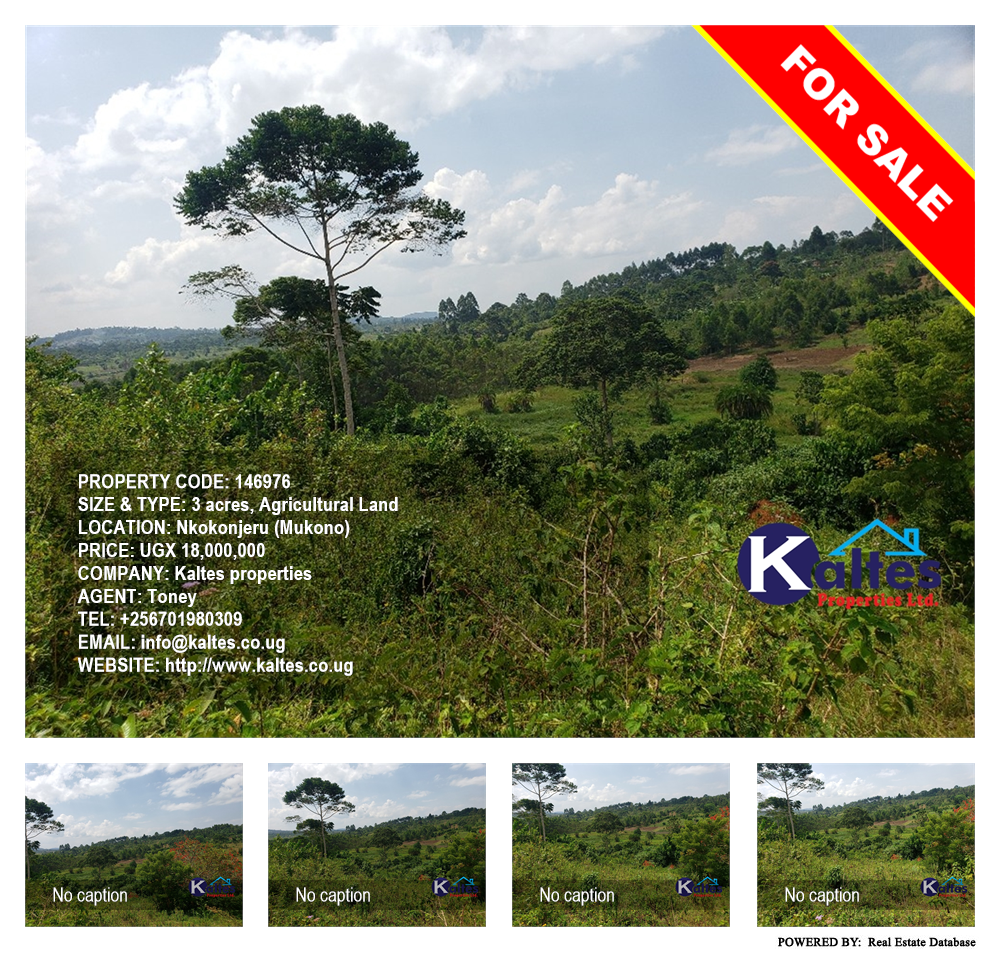 Agricultural Land  for sale in Nkokonjeru Mukono Uganda, code: 146976