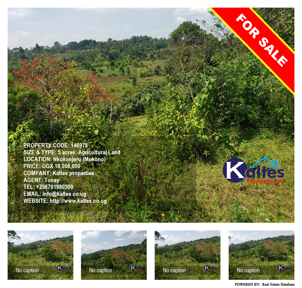 Agricultural Land  for sale in Nkokonjeru Mukono Uganda, code: 146978