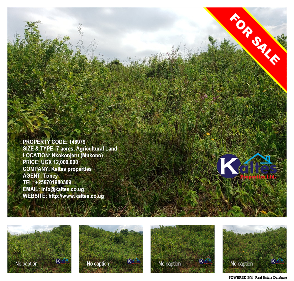 Agricultural Land  for sale in Nkokonjeru Mukono Uganda, code: 146979