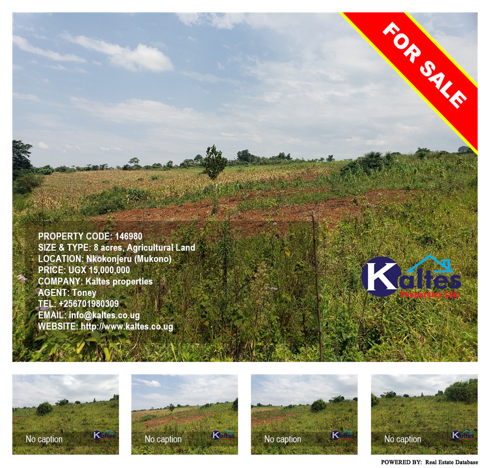 Agricultural Land  for sale in Nkokonjeru Mukono Uganda, code: 146980