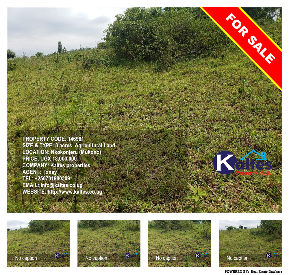 Agricultural Land  for sale in Nkokonjeru Mukono Uganda, code: 146981