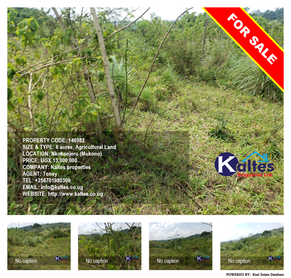 Agricultural Land  for sale in Nkokonjeru Mukono Uganda, code: 146982