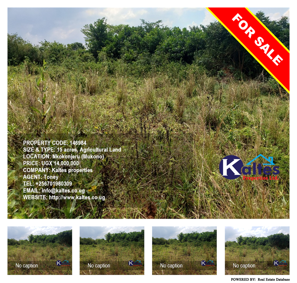 Agricultural Land  for sale in Nkokonjeru Mukono Uganda, code: 146984