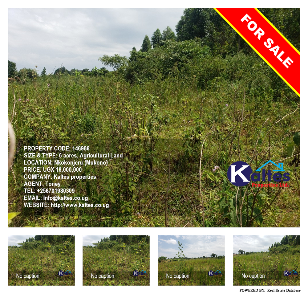Agricultural Land  for sale in Nkokonjeru Mukono Uganda, code: 146986