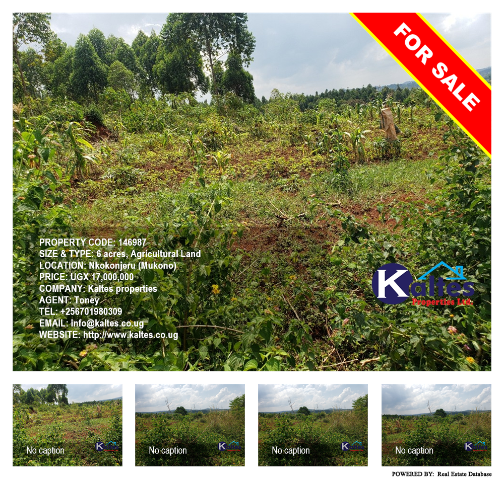 Agricultural Land  for sale in Nkokonjeru Mukono Uganda, code: 146987