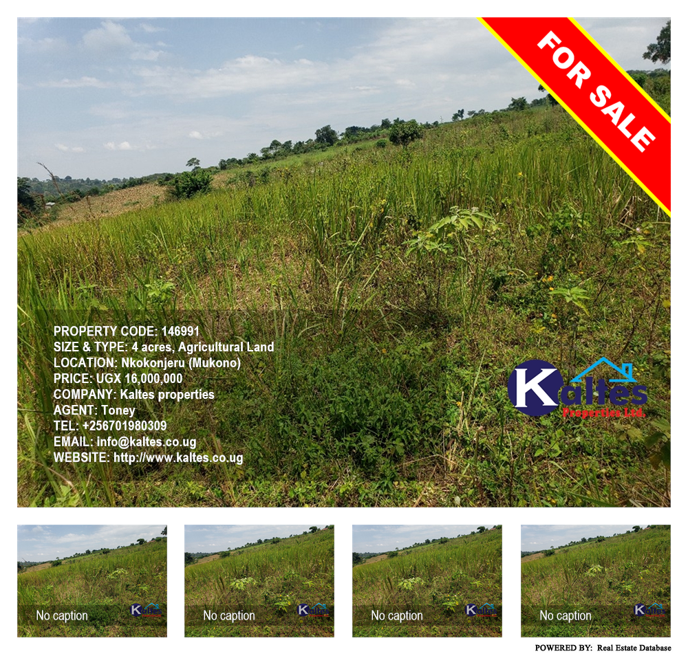 Agricultural Land  for sale in Nkokonjeru Mukono Uganda, code: 146991