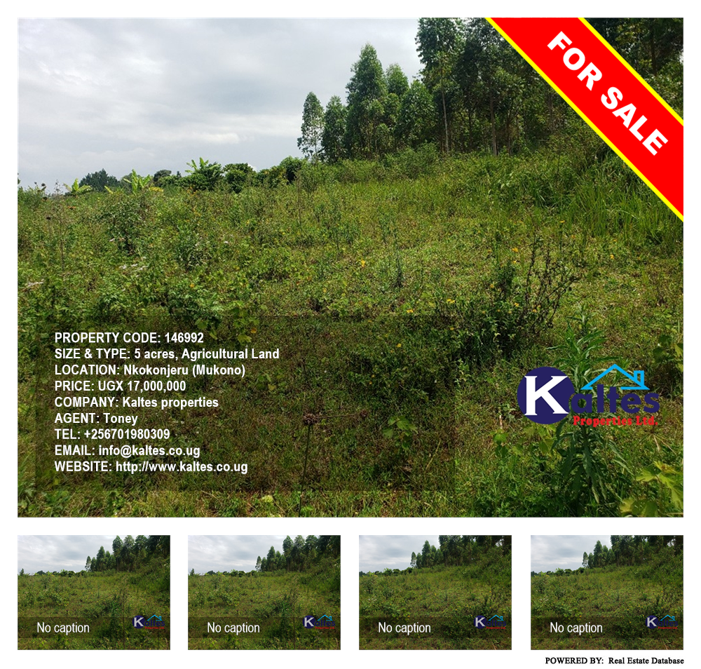 Agricultural Land  for sale in Nkokonjeru Mukono Uganda, code: 146992