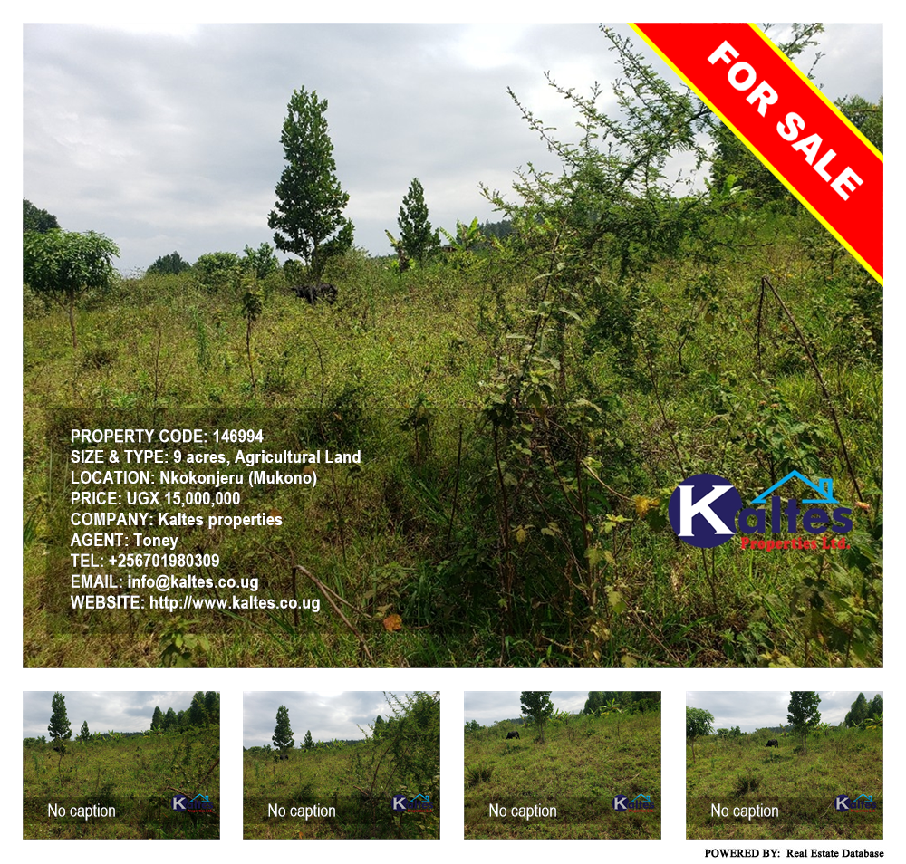 Agricultural Land  for sale in Nkokonjeru Mukono Uganda, code: 146994