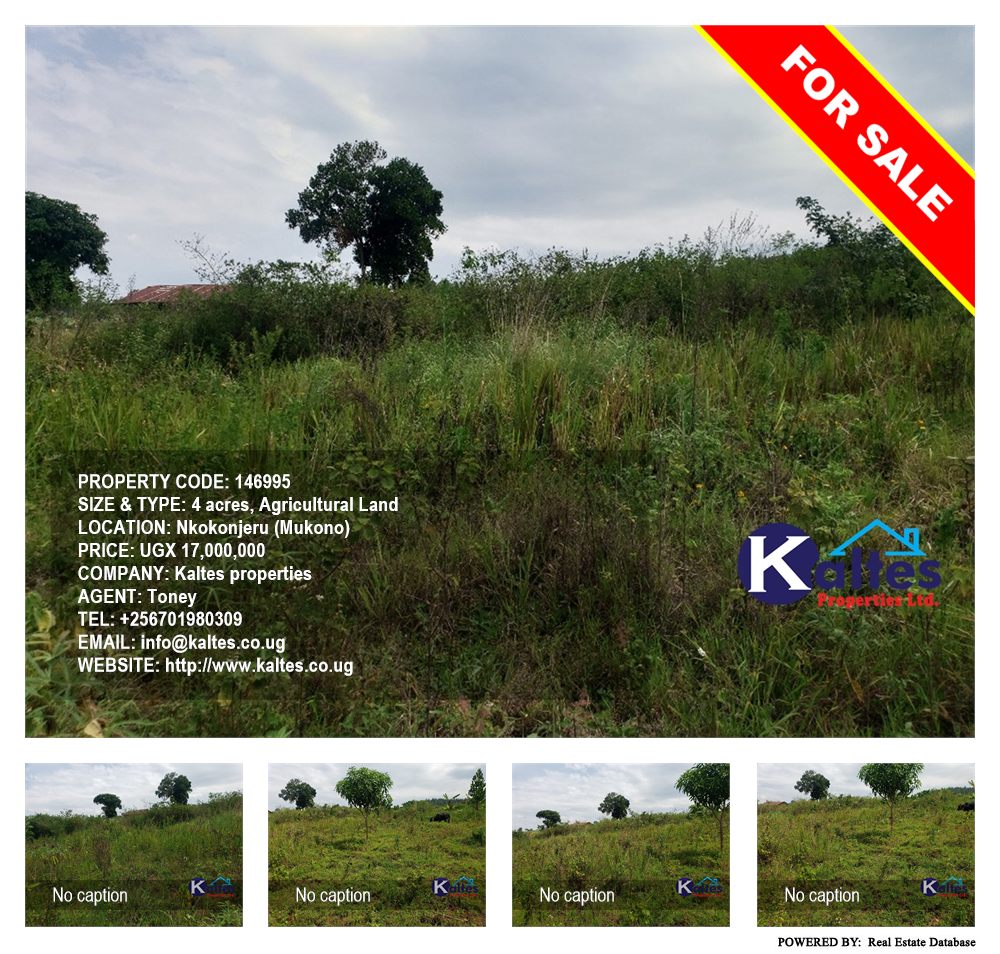 Agricultural Land  for sale in Nkokonjeru Mukono Uganda, code: 146995