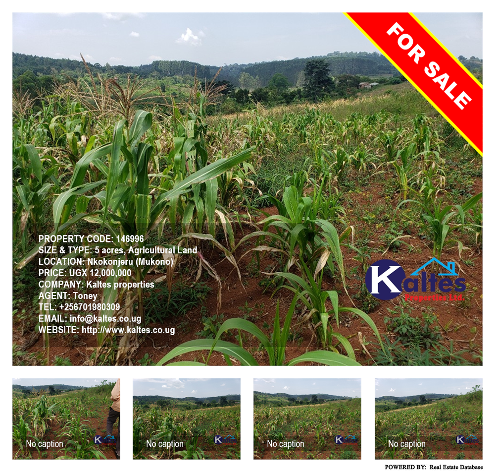 Agricultural Land  for sale in Nkokonjeru Mukono Uganda, code: 146996