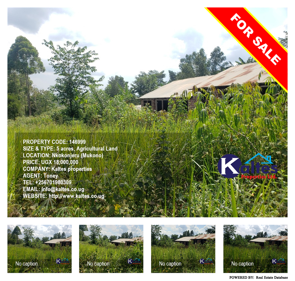 Agricultural Land  for sale in Nkokonjeru Mukono Uganda, code: 146999