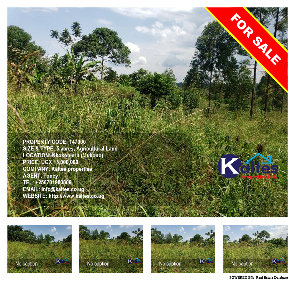 Agricultural Land  for sale in Nkokonjeru Mukono Uganda, code: 147000