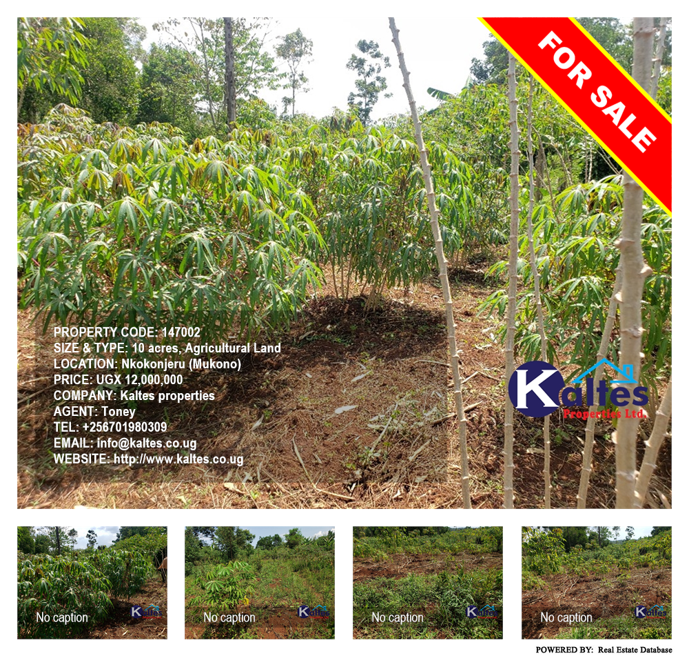 Agricultural Land  for sale in Nkokonjeru Mukono Uganda, code: 147002
