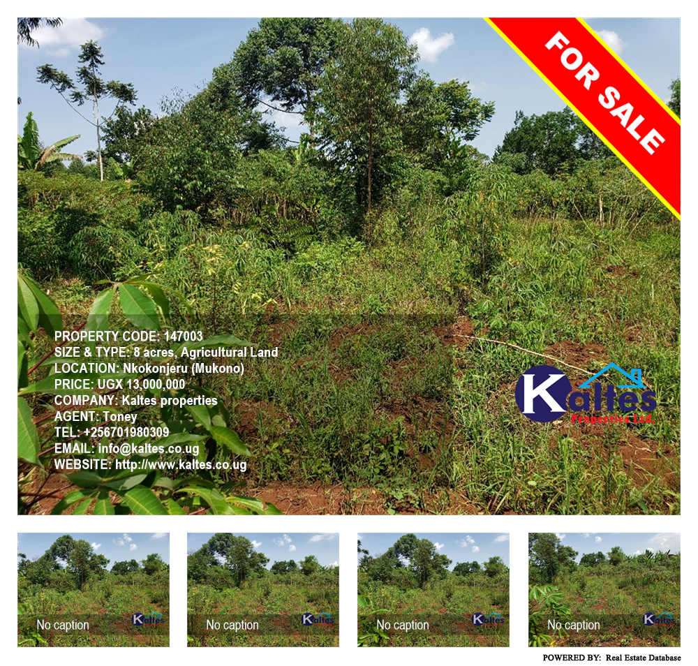 Agricultural Land  for sale in Nkokonjeru Mukono Uganda, code: 147003
