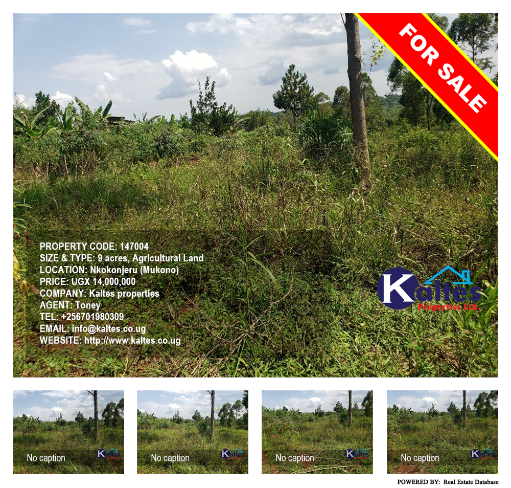 Agricultural Land  for sale in Nkokonjeru Mukono Uganda, code: 147004