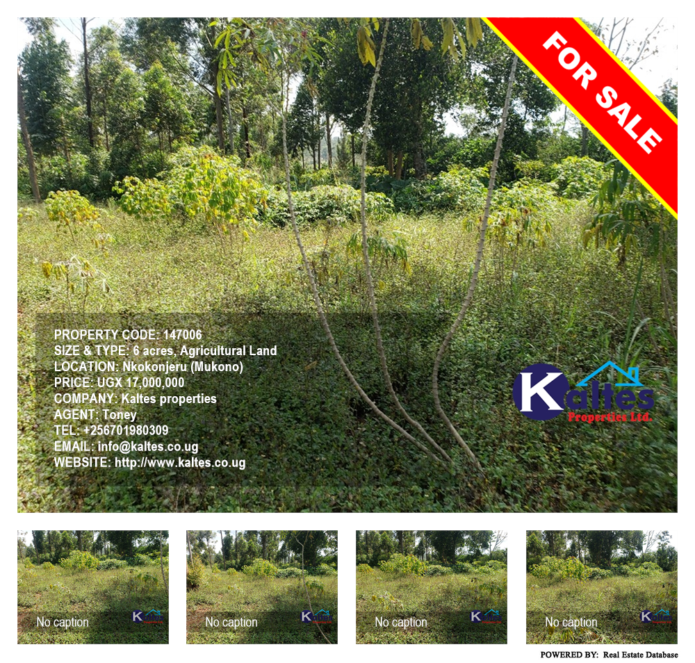 Agricultural Land  for sale in Nkokonjeru Mukono Uganda, code: 147006