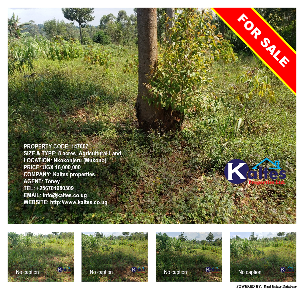Agricultural Land  for sale in Nkokonjeru Mukono Uganda, code: 147007