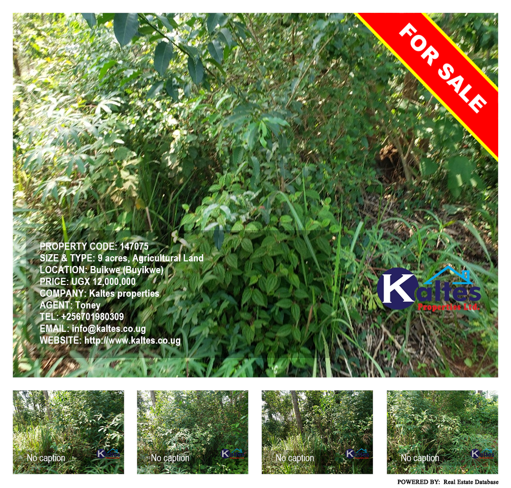 Agricultural Land  for sale in Buyikwe Buyikwe Uganda, code: 147075