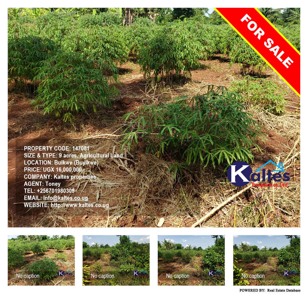 Agricultural Land  for sale in Buyikwe Buyikwe Uganda, code: 147081