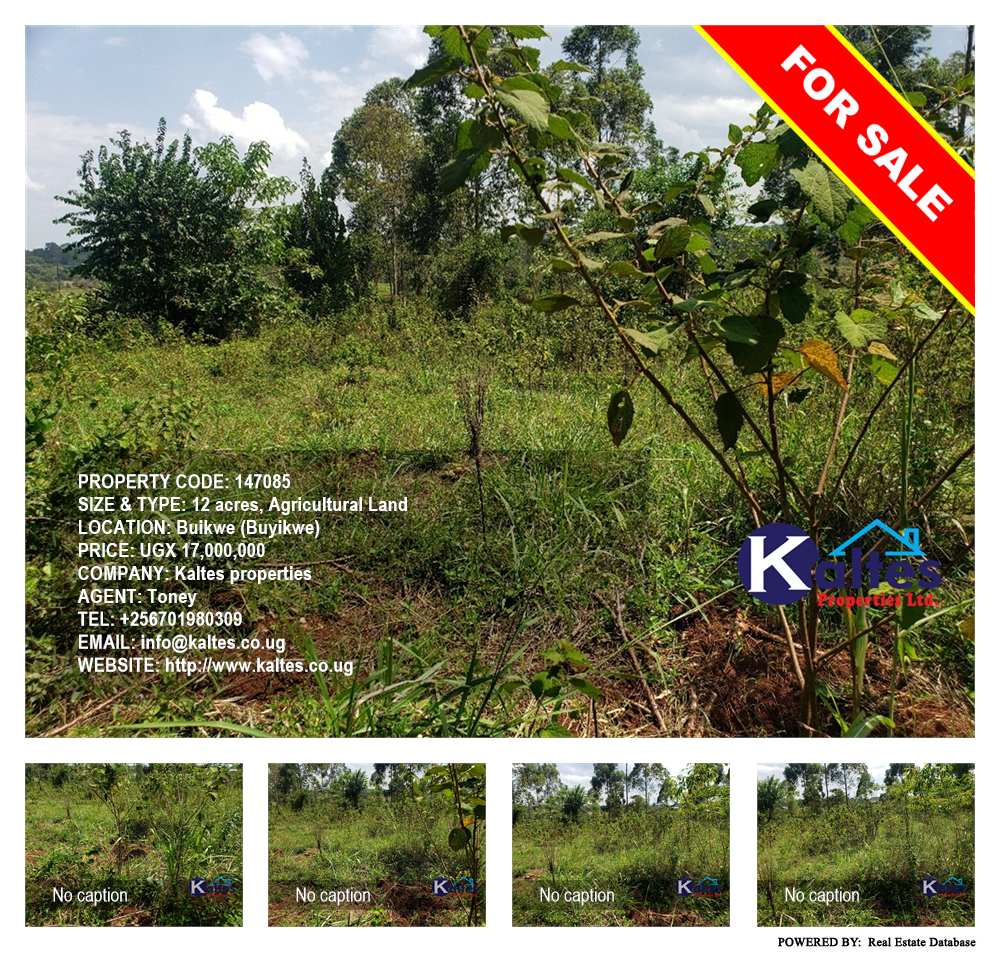 Agricultural Land  for sale in Buyikwe Buyikwe Uganda, code: 147085