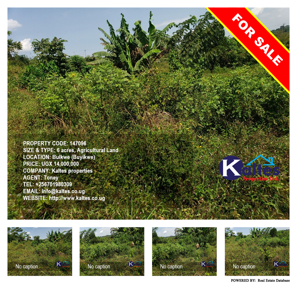 Agricultural Land  for sale in Buyikwe Buyikwe Uganda, code: 147096