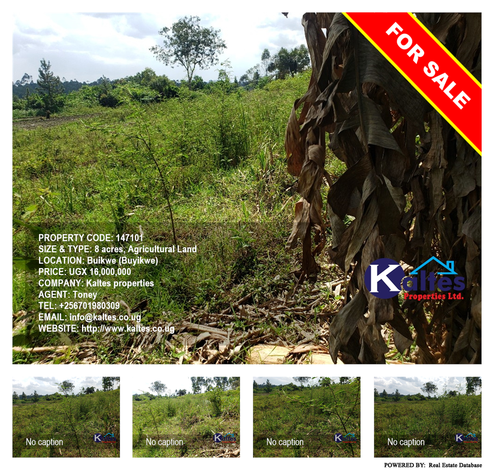 Agricultural Land  for sale in Buyikwe Buyikwe Uganda, code: 147101