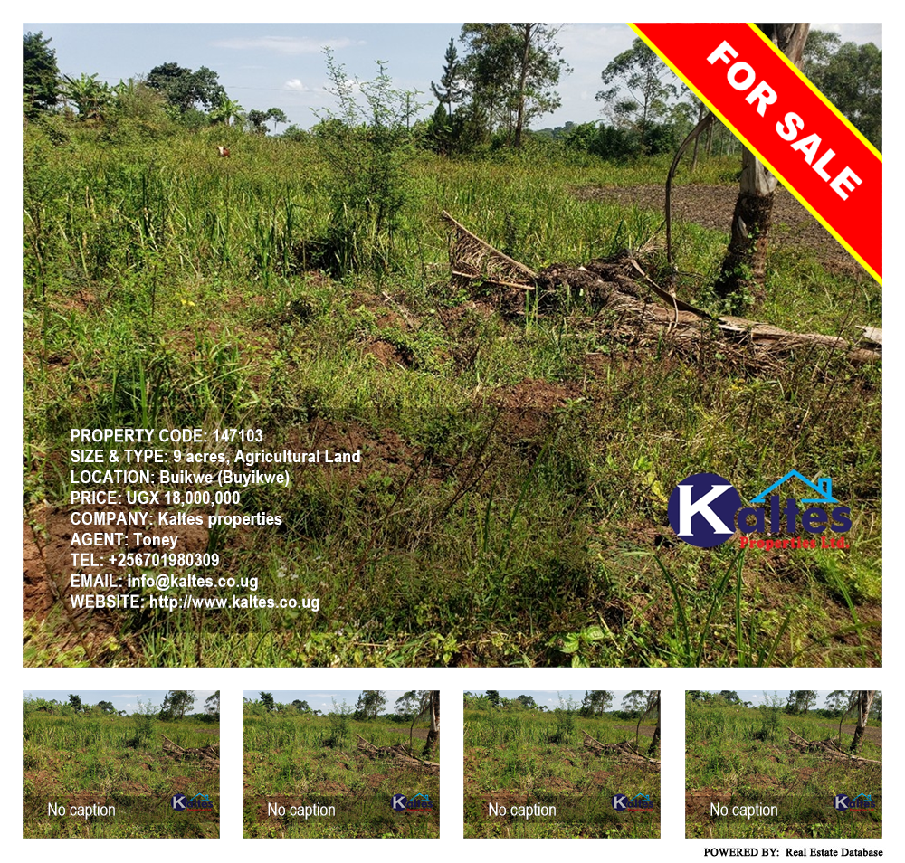 Agricultural Land  for sale in Buyikwe Buyikwe Uganda, code: 147103