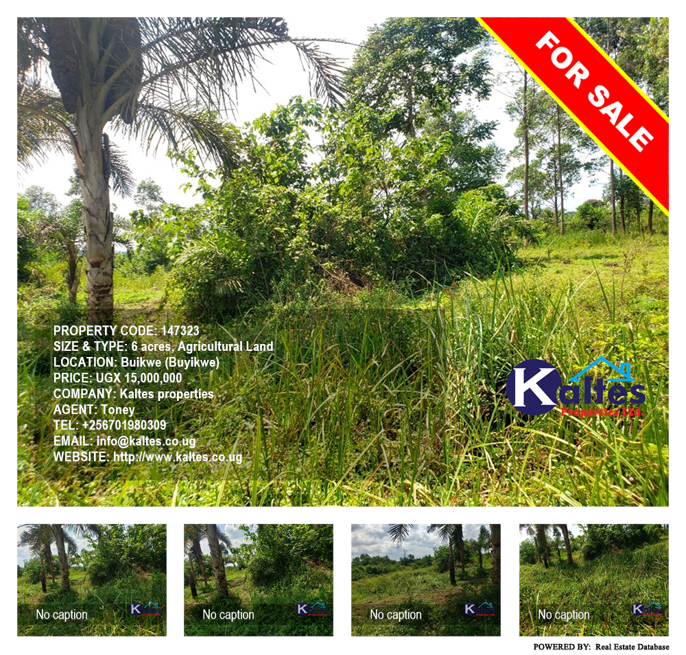Agricultural Land  for sale in Buyikwe Buyikwe Uganda, code: 147323