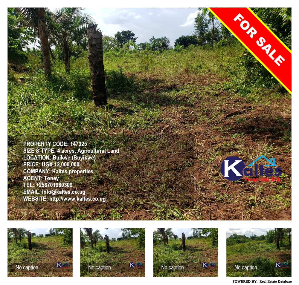 Agricultural Land  for sale in Buyikwe Buyikwe Uganda, code: 147325