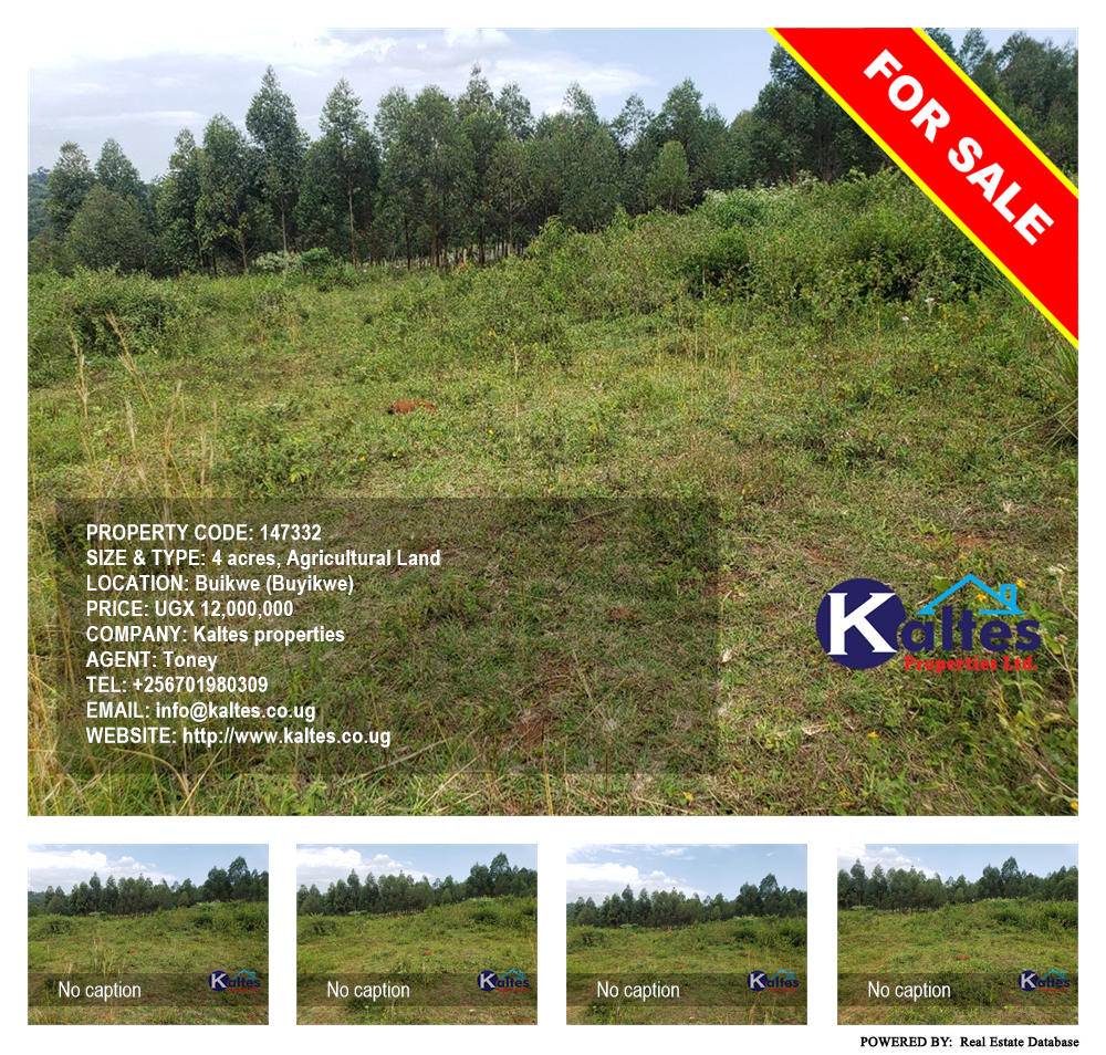 Agricultural Land  for sale in Buyikwe Buyikwe Uganda, code: 147332