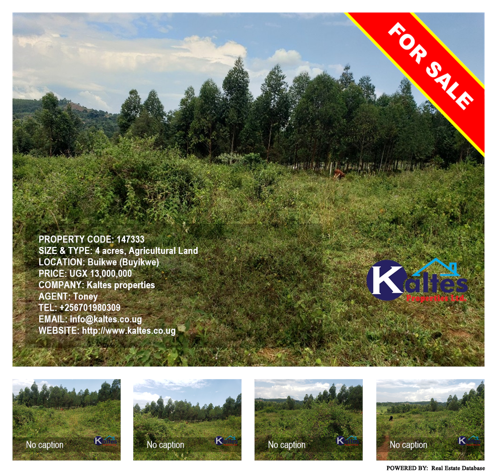 Agricultural Land  for sale in Buyikwe Buyikwe Uganda, code: 147333