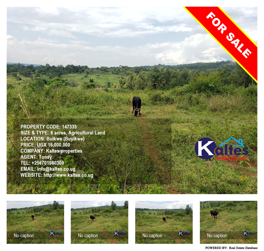 Agricultural Land  for sale in Buyikwe Buyikwe Uganda, code: 147335