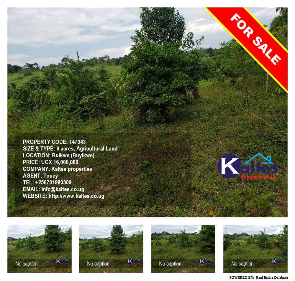 Agricultural Land  for sale in Buyikwe Buyikwe Uganda, code: 147343