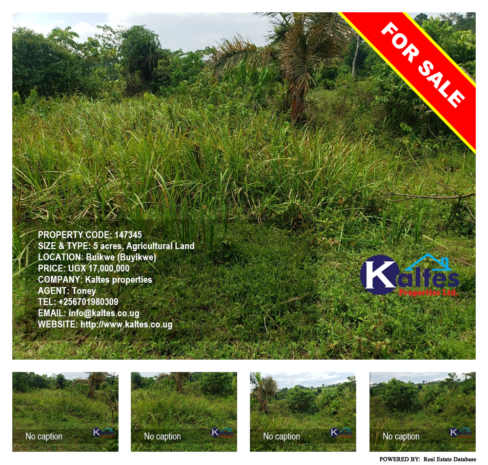 Agricultural Land  for sale in Buyikwe Buyikwe Uganda, code: 147345