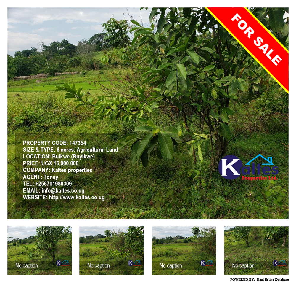 Agricultural Land  for sale in Buyikwe Buyikwe Uganda, code: 147354