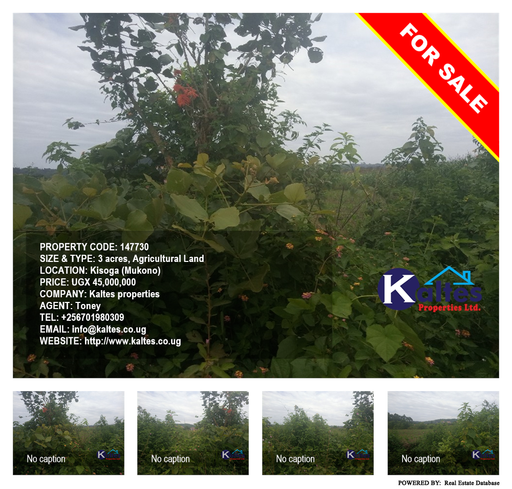Agricultural Land  for sale in Kisoga Mukono Uganda, code: 147730