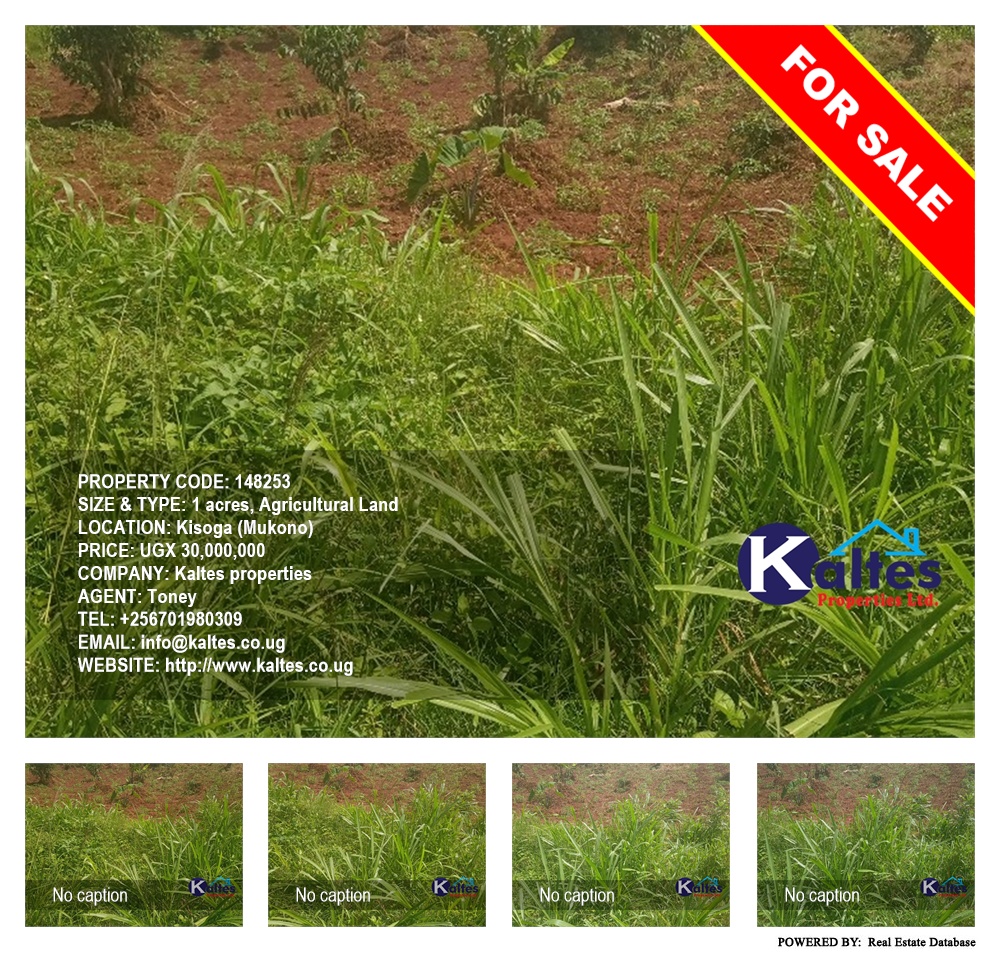 Agricultural Land  for sale in Kisoga Mukono Uganda, code: 148253