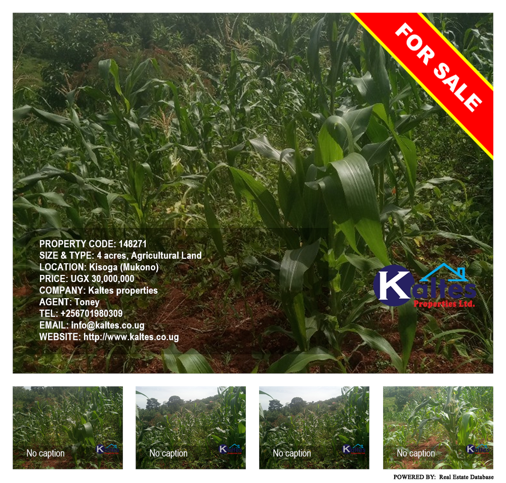 Agricultural Land  for sale in Kisoga Mukono Uganda, code: 148271