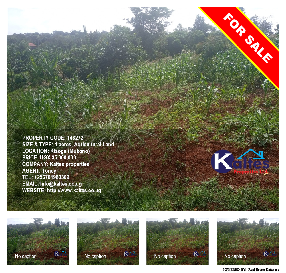Agricultural Land  for sale in Kisoga Mukono Uganda, code: 148272