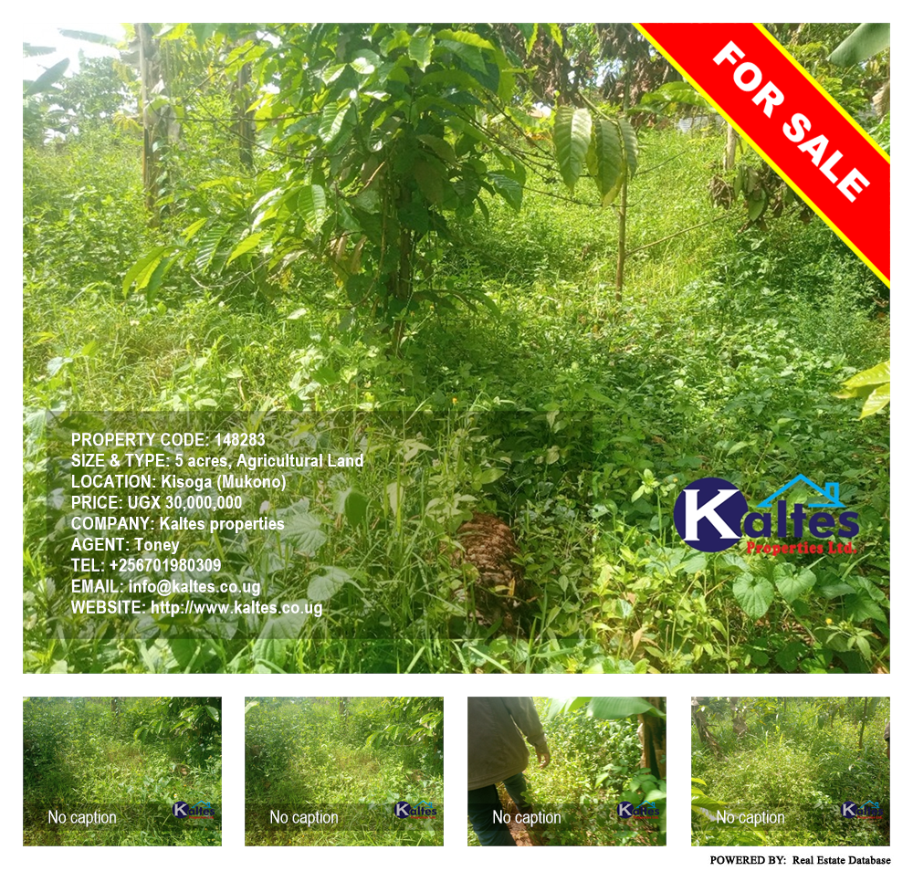 Agricultural Land  for sale in Kisoga Mukono Uganda, code: 148283
