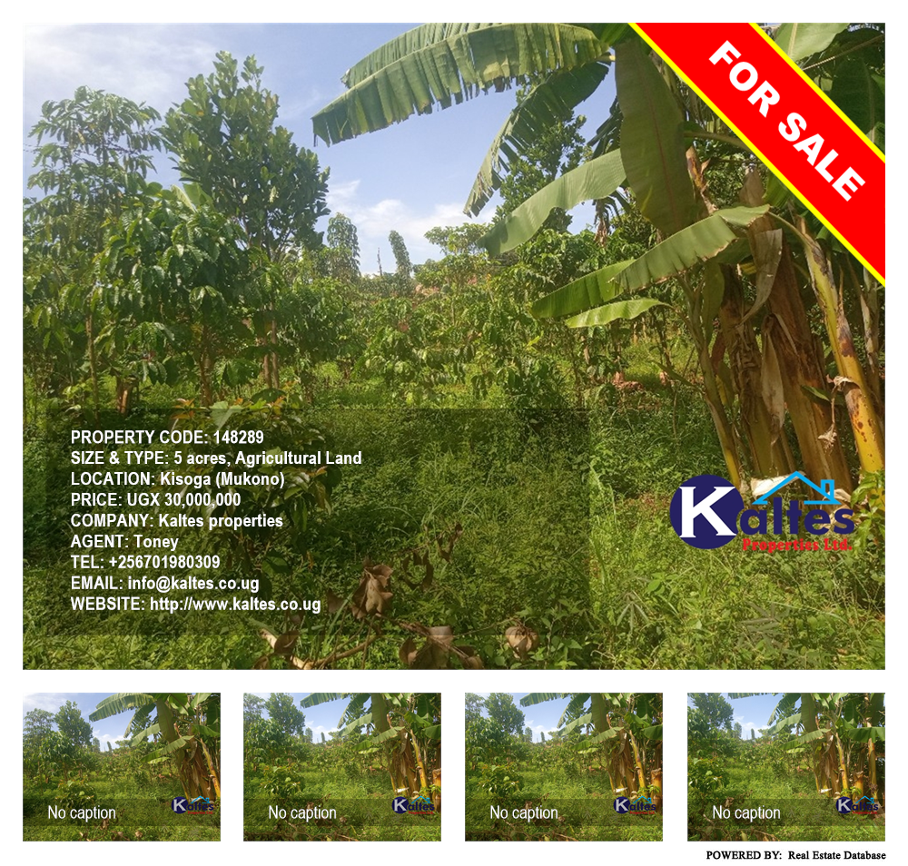 Agricultural Land  for sale in Kisoga Mukono Uganda, code: 148289