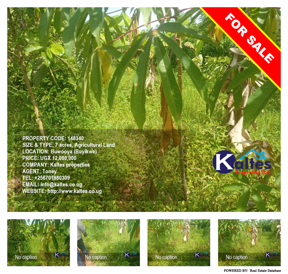 Agricultural Land  for sale in Buwooya Buyikwe Uganda, code: 148340